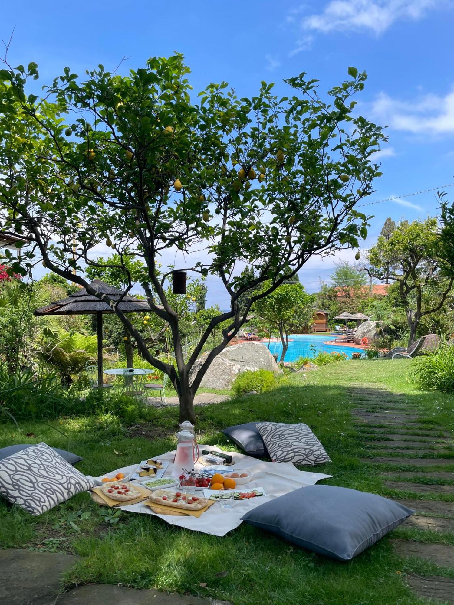 Hotel Cernia Isola Botanica SantʼAndrea Εξωτερικό φωτογραφία